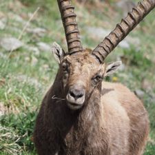 Profile image of geromfu