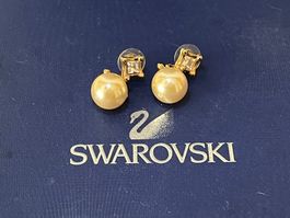Swarovski Ohrringe neu und original