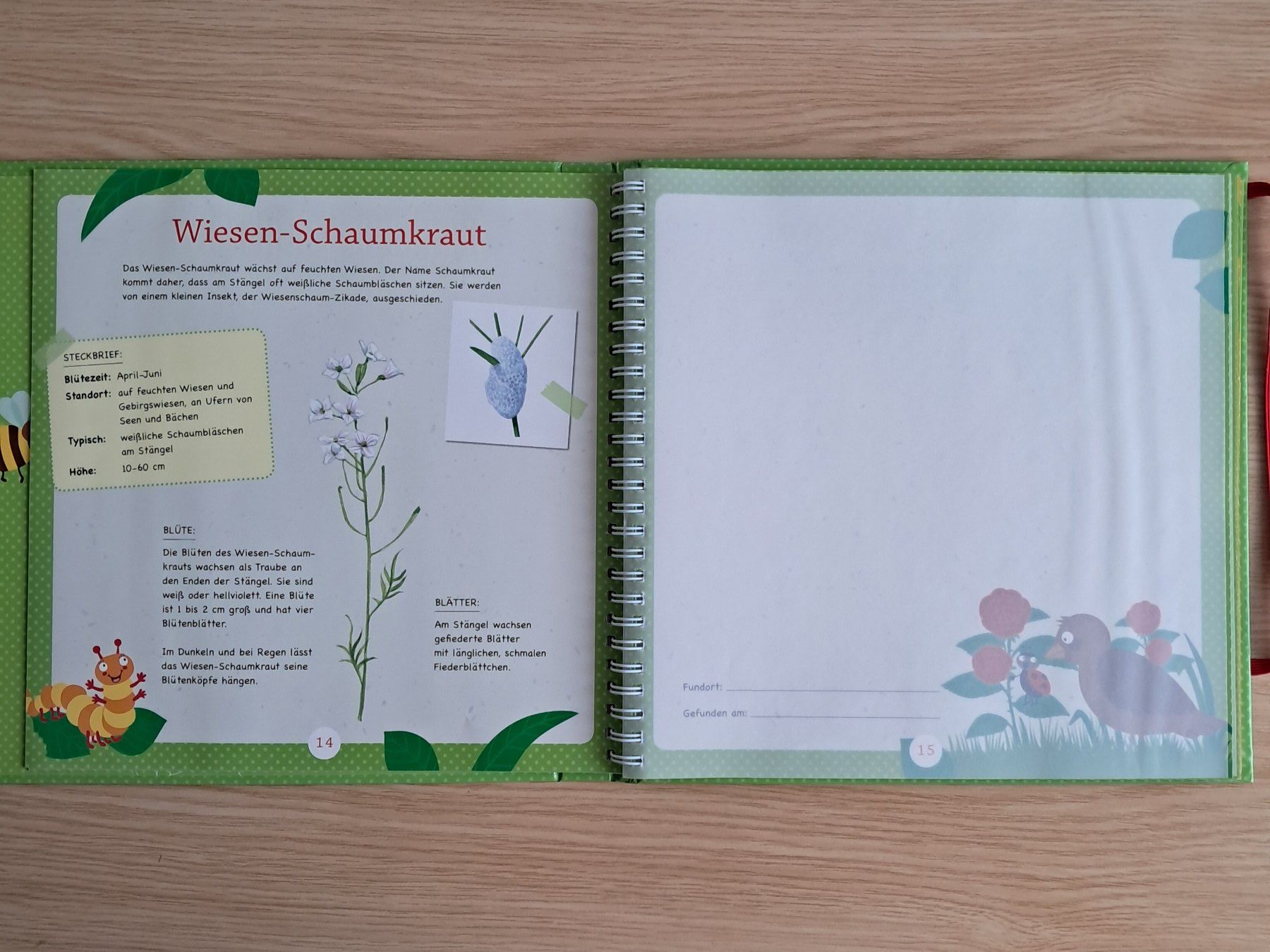 Bücher: Sammelbuch Kinder "Blüten & Blätter sammeln" – Gebraucht aus Meilen von Vaurien15 3