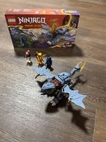 LEGO Riyu der Babydrache