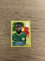 Panini Fifa WM 2026, SEN17