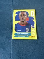 Panini Cpv18