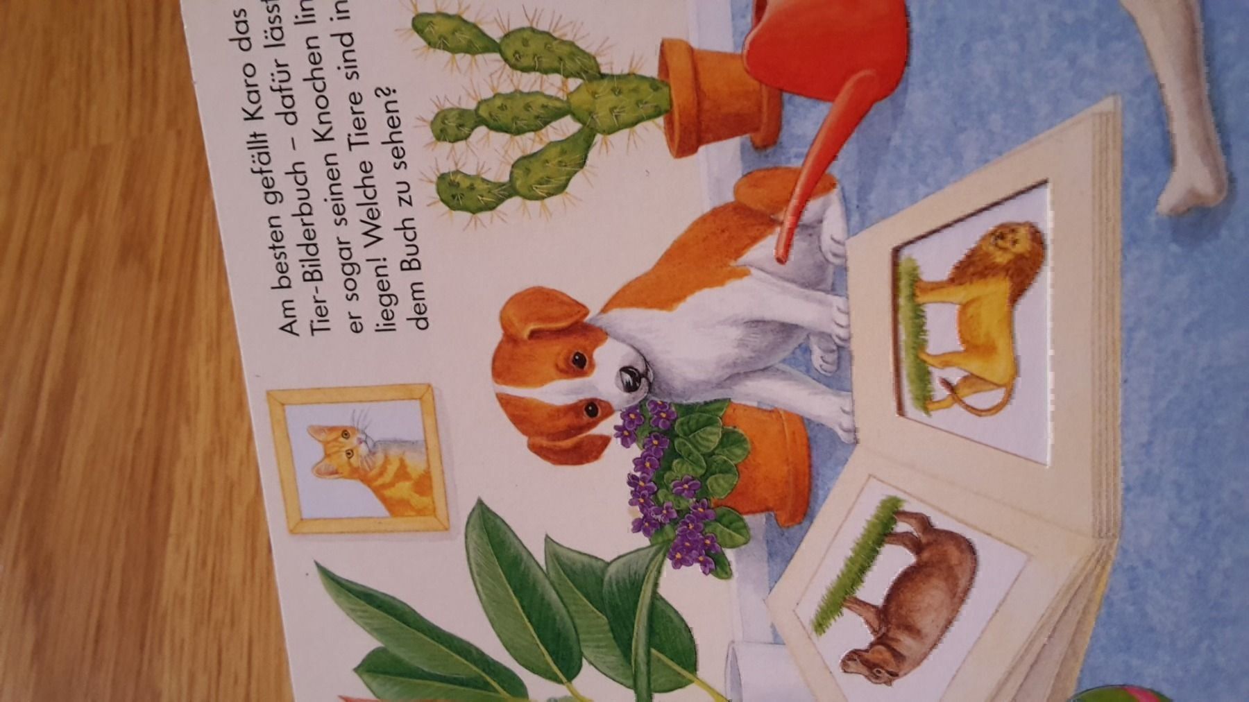 Libri: Buch drehen und sehen im Haus – Nuovo (secondo la descrizione) da Schwarzenburg venduto da Flamingo07 3