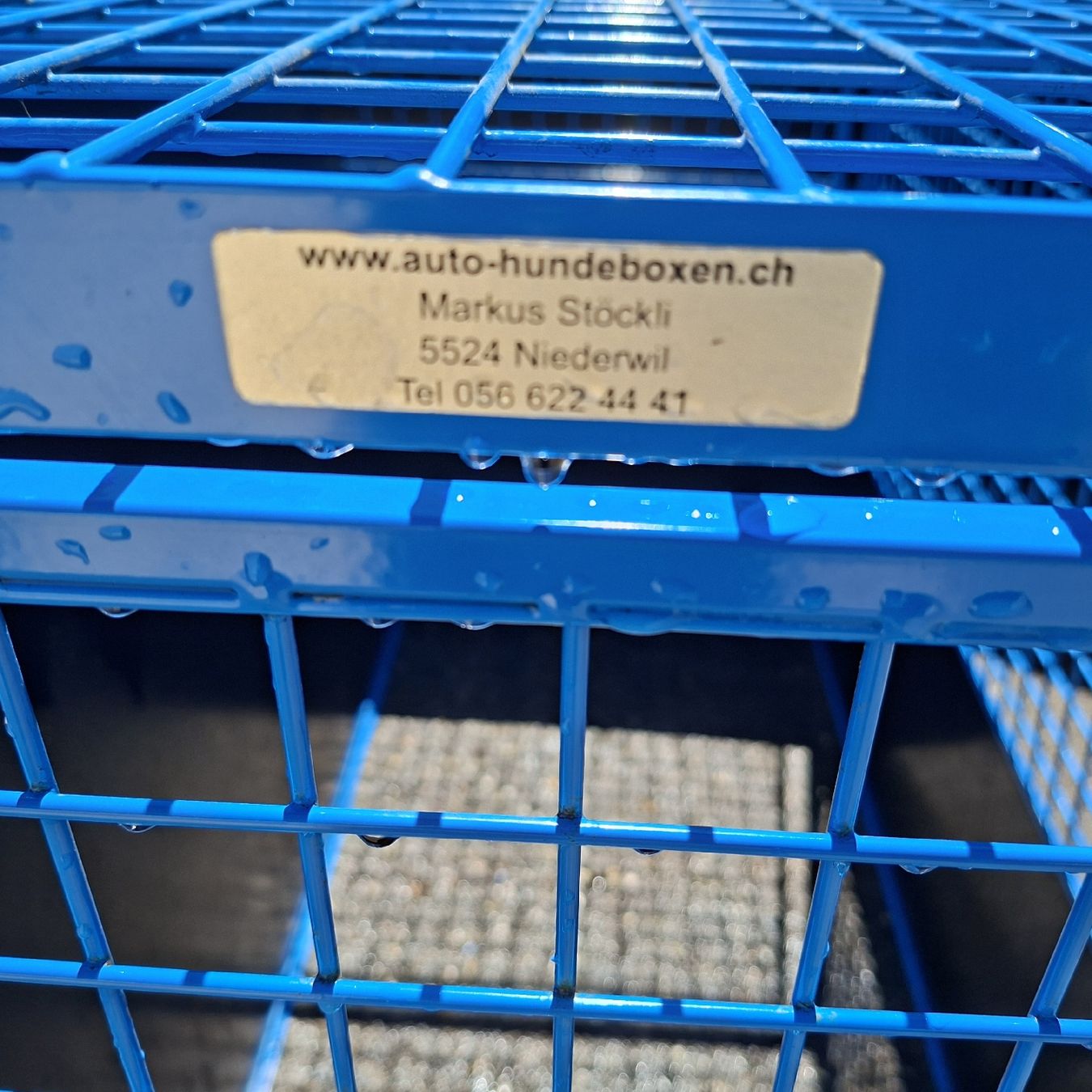 Gabbie, trasporto & Sicurezza: sehr grosse Hundebox – Usato da pfaffhausen venduto da xani01 1
