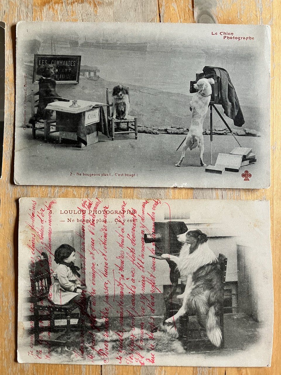 Cartoline postali: Juxkarten mit Photographie – Usato da Nesslau venduto da andi_hon 2
