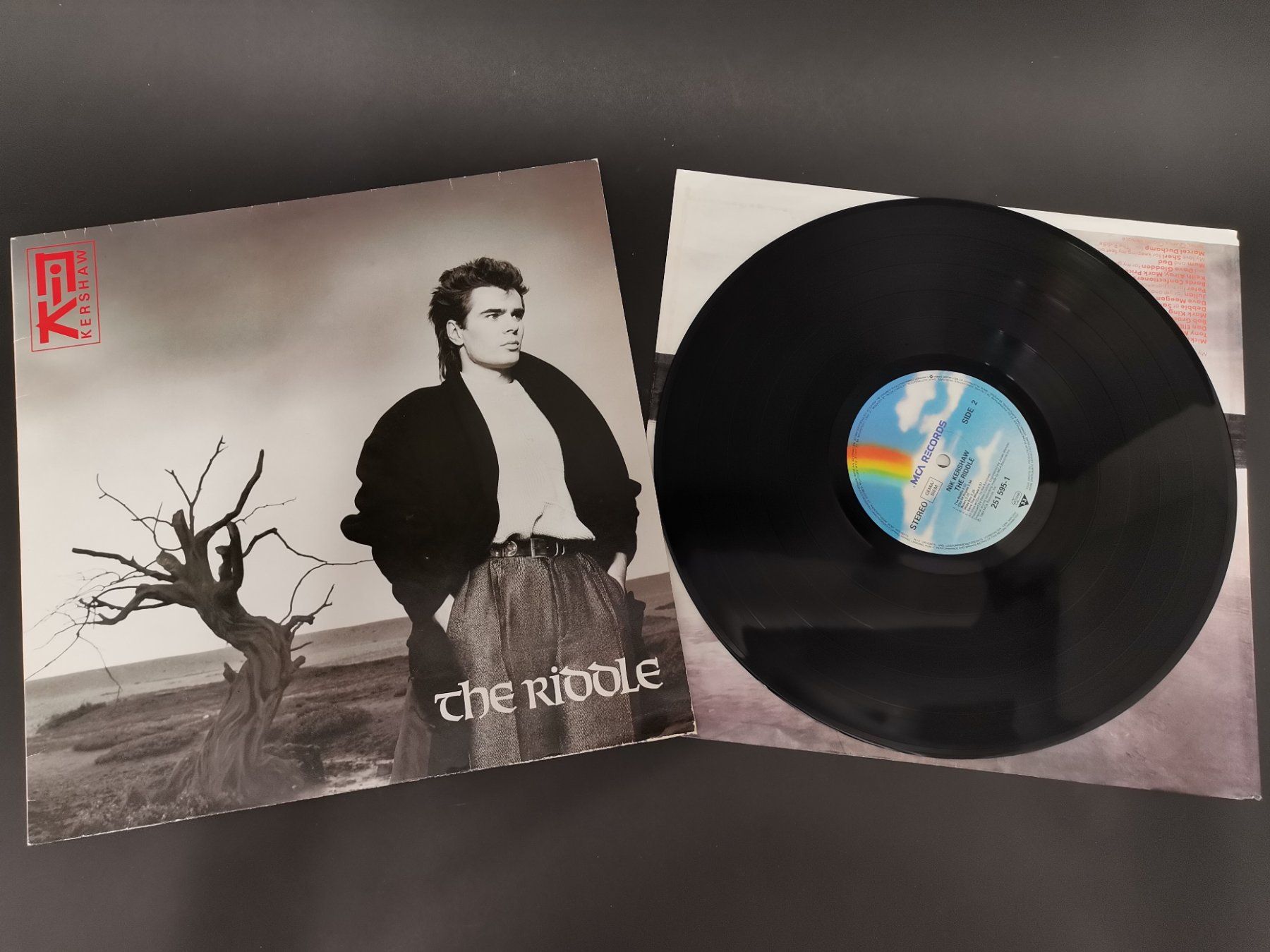 Dischi in vinile: SCHALLPLATTE Vinyl Nik Kershaw "The Riddle" – Usato da Schaffhausen venduto da Restwert_SH 3