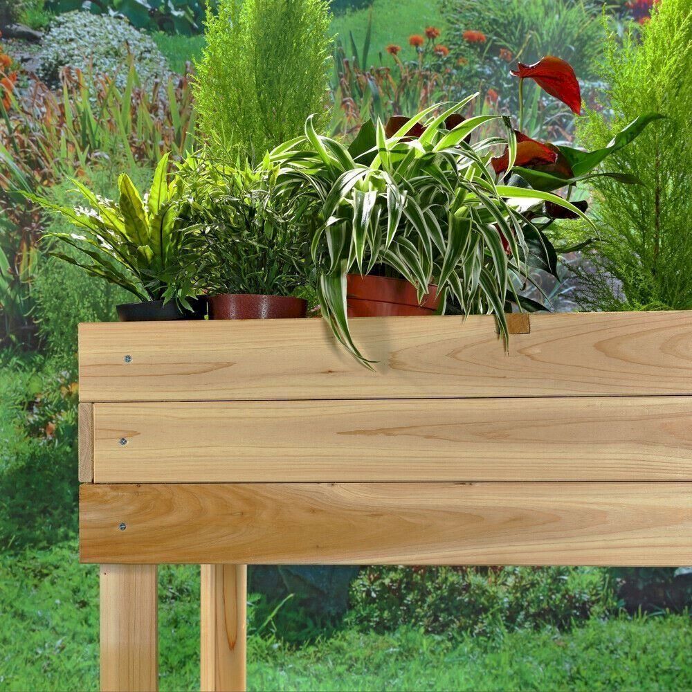 Decken: Mucola Hochbeet Holz + 4 Fächer – Neu und originalverpackt aus Bottighofen von zaap 4