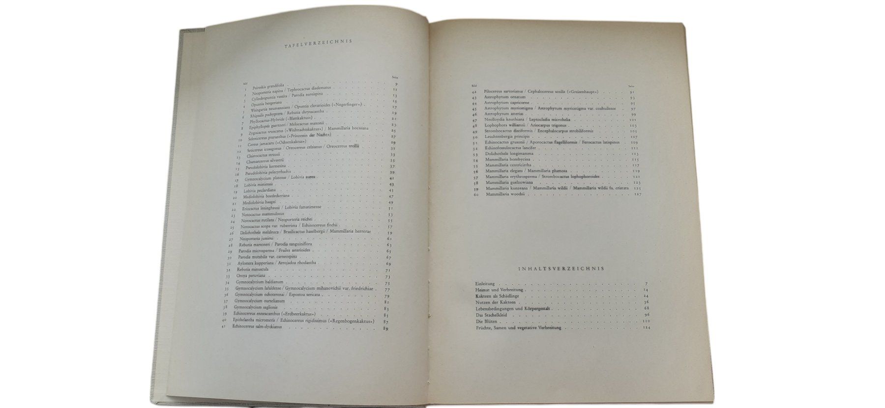 Libri: Kakteen Silva 1954 – Usato da Mörschwil venduto da lindaswunderkiste 2
