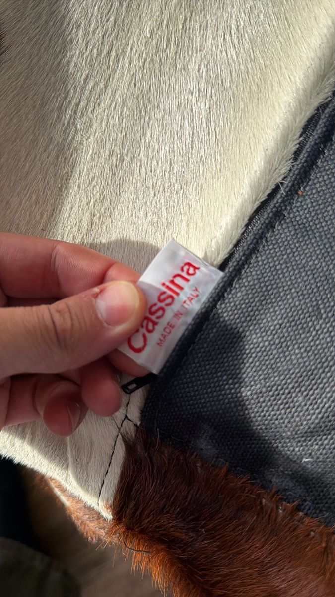 Cassina Sessel: Cassina LC4 Liege  – Gebraucht aus Zürich von whitehorse 3