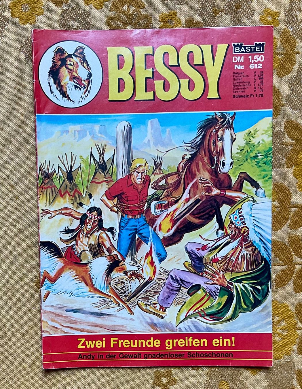 Comics: Bessy Heft Nr 612 von 1978 ? – Gebraucht aus Endingen von nathan05