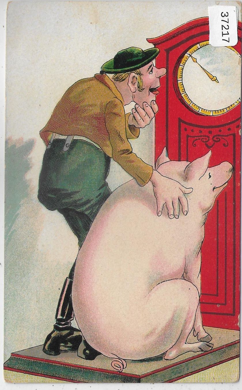Ansichtskarten: Humor - Schwein mit Bauer auf der Waage - Litho – Gebraucht aus Ettingen von Kartenplanet