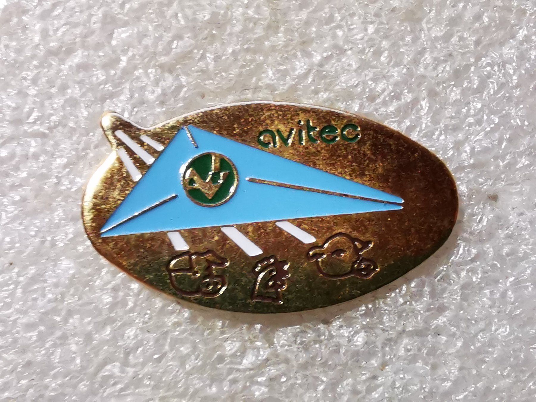 Placchette & Badge: Ansteckpin 54: – Usato da Oppligen venduto da Pin-Fall-Shop