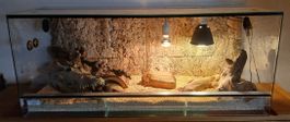 Terrarium complet avec accessoires pour reptiles