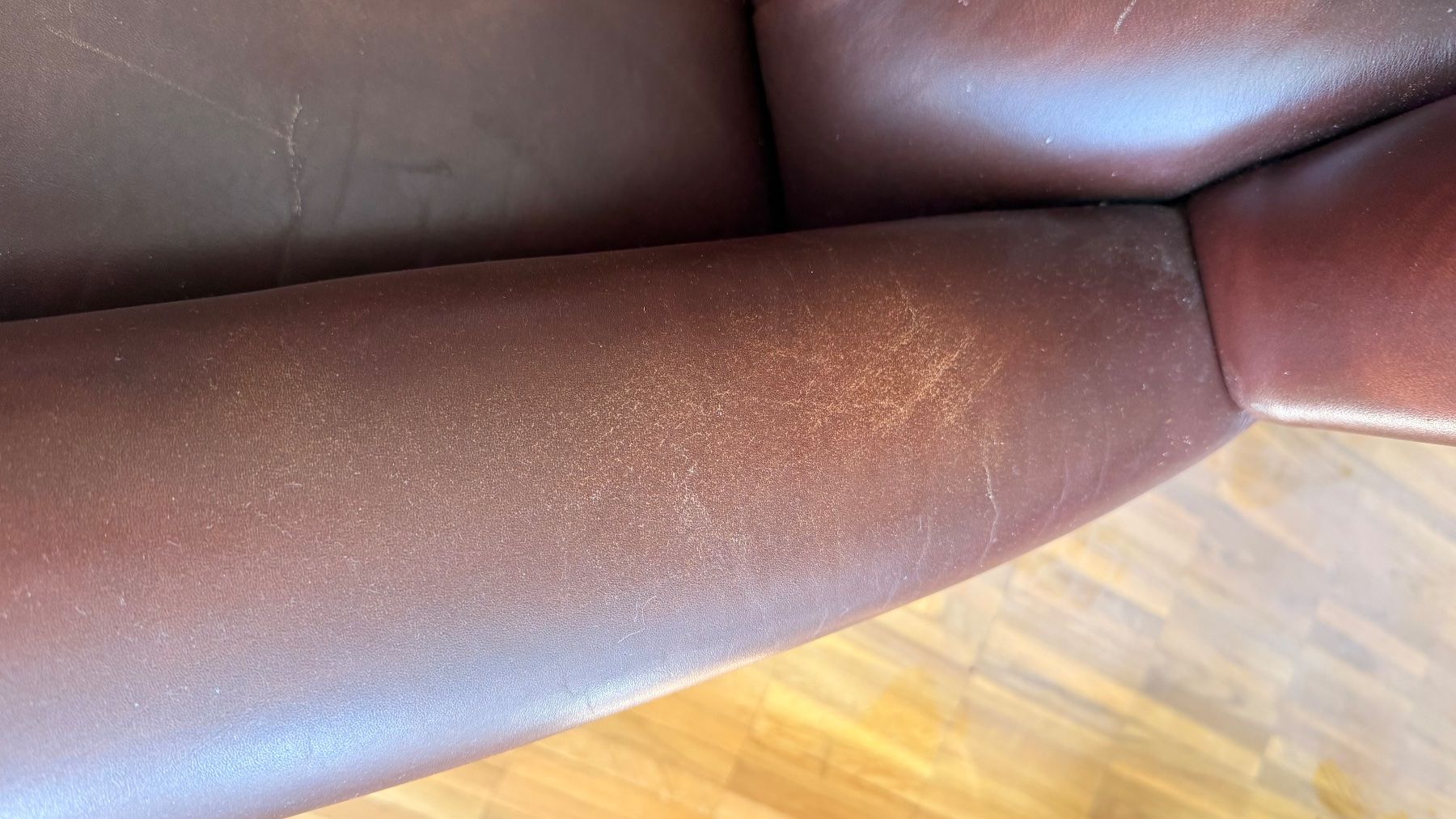 Sessel: Ledersessel braun Chesterfield – Gebraucht aus Wallisellen von lions009 7
