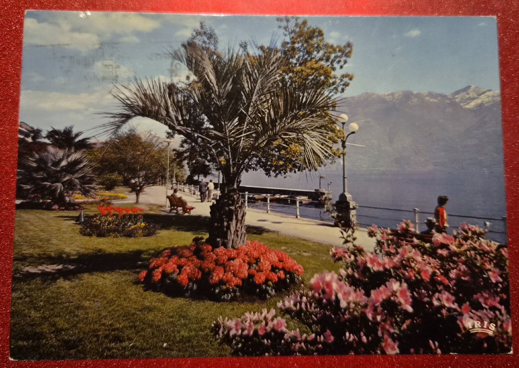 Ansichtskarten: Locarno Lungolago 1979 – Gebraucht aus Melchnau von Fishel
