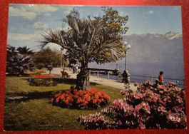 Locarno Lungolago 1979