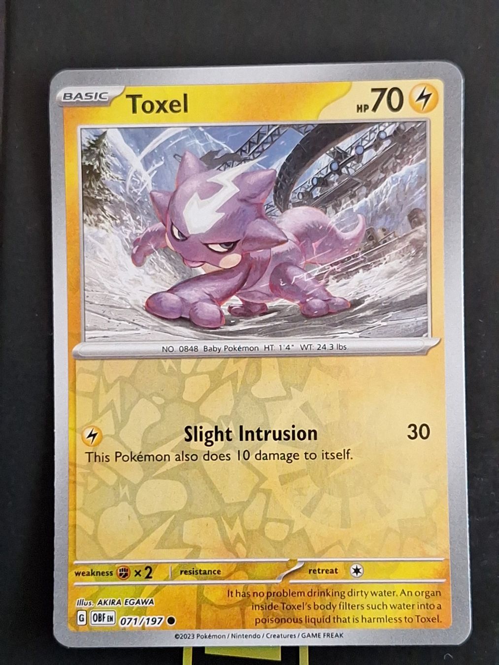 Pokémon Carte collezionabili: Toxel - Pokemon Reverse Holo Obsidian Flames – Usato da Altstätten SG venduto da GGsGameshop