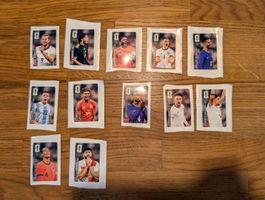 Panini WM 2026 12/12 Coca Cola Stickers
