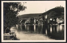 Stein a. Rhein, Ortsansicht vom Ufer aus