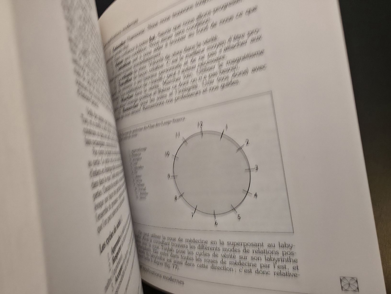 Bücher: Labyrinthes Sig Lonegren Dangles – Neu (gemäss Beschreibung) aus Montreux von Edelweissgirl_64 8