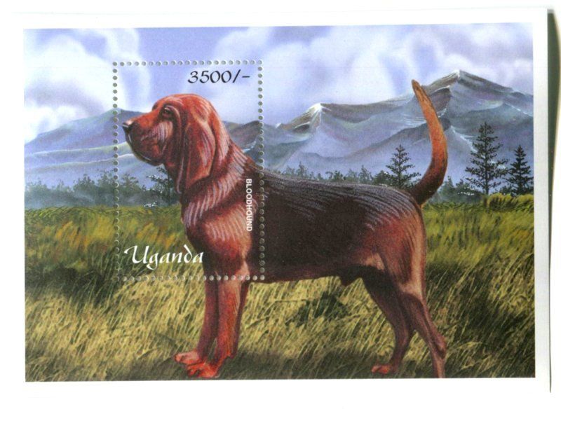 Tous les timbres: Block "Bloodhound". Uganda – Neuf avec emballage d'origine à Basel par Butsch5