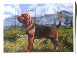 Block "Bloodhound". Uganda