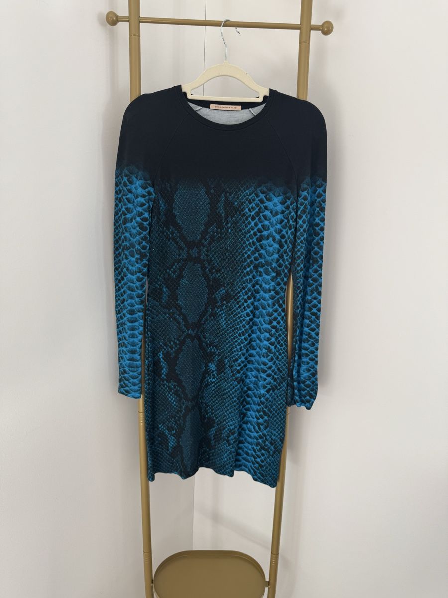 Vestiti: CHRISTOPHER KANE Colorblock Snake Print – Usato da Zürich venduto da di_archive 8