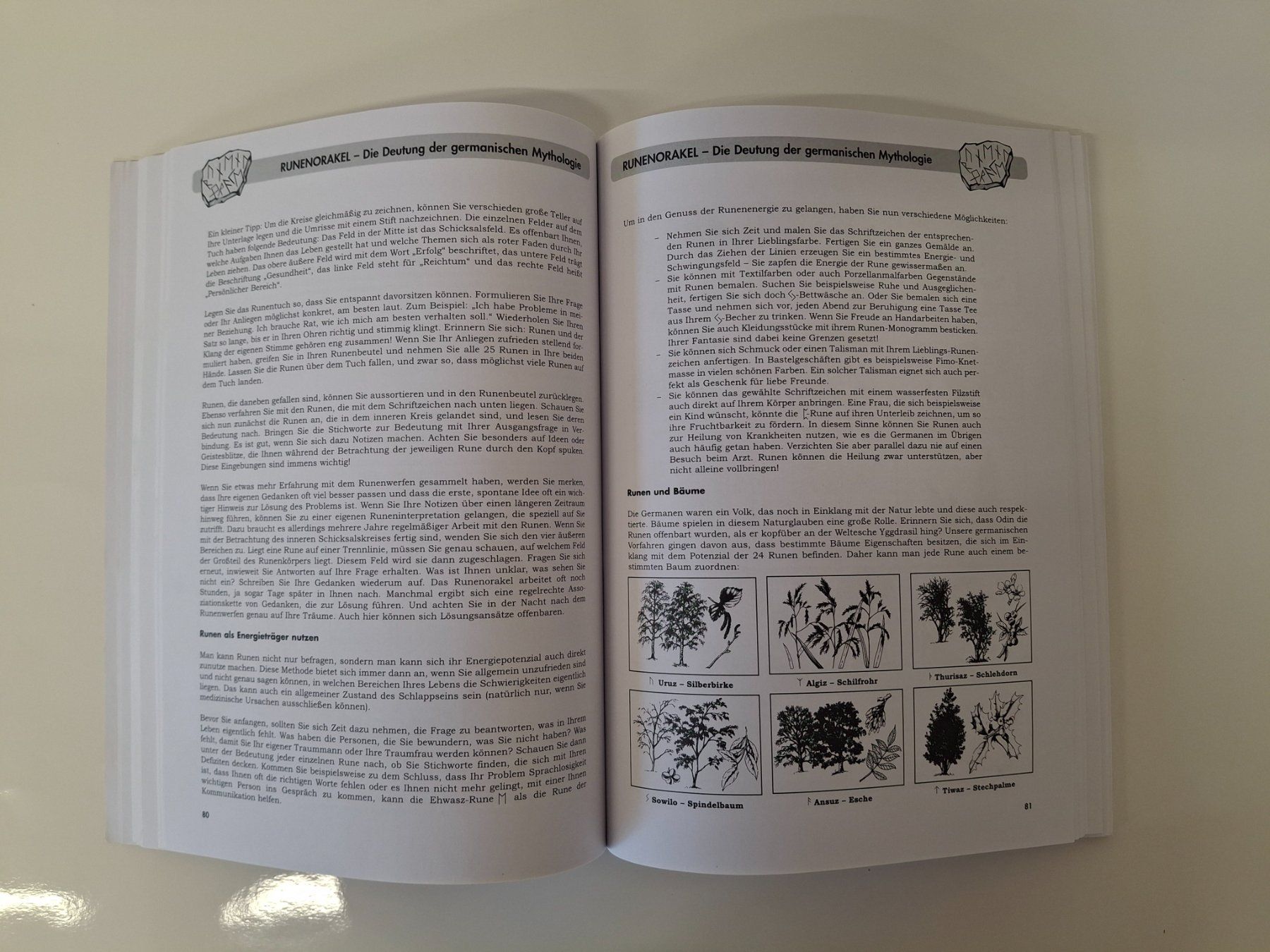 Libri: Wahrsagekunst - Das Standardwerk – Usato da Reichenburg venduto da AK307 3