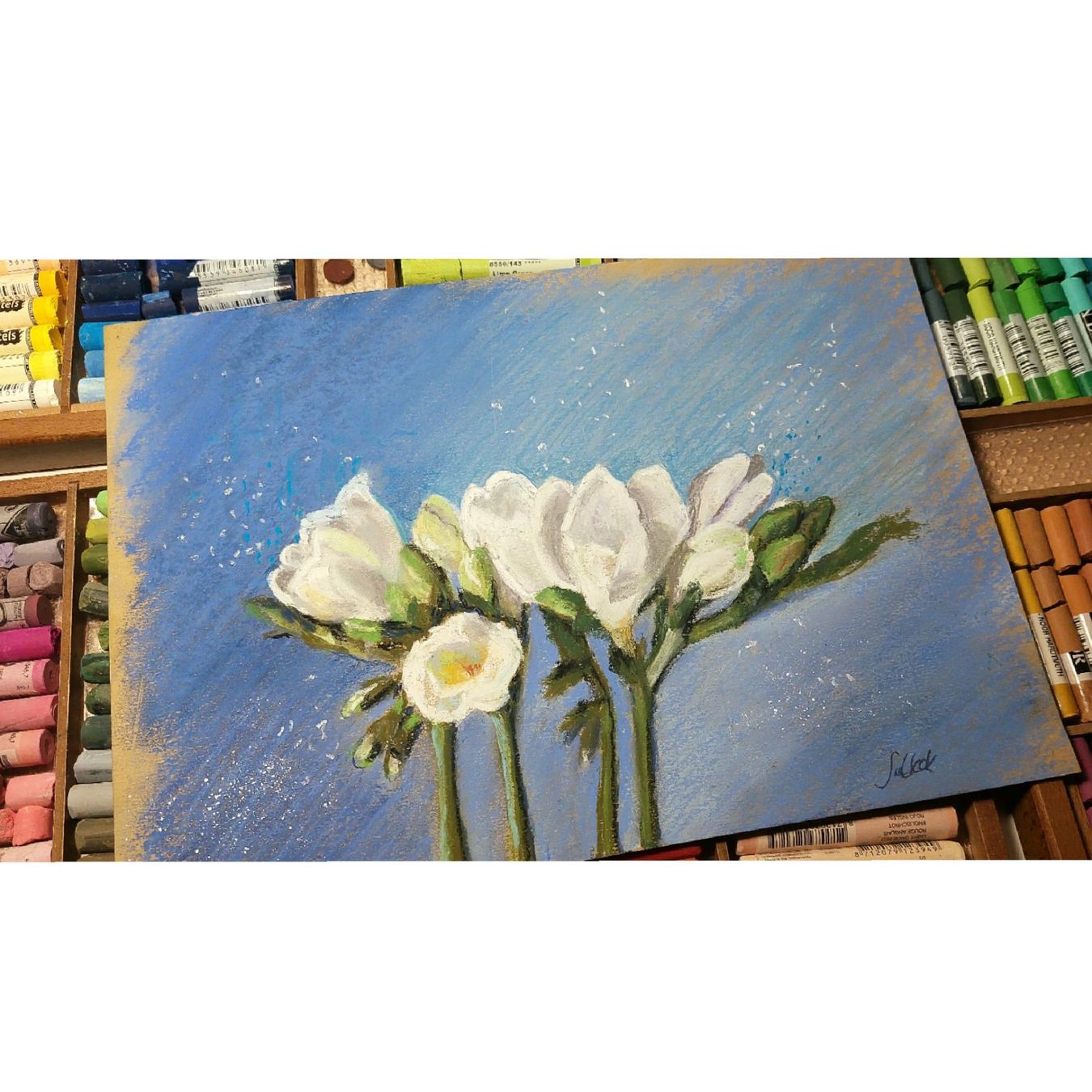 Foto & Immagini: Neu! Original Soft-Pastellbild, signiert "Freesia" Bern – Nuovo e nell'imballaggio originale da Ostermundigen venduto da LorisHome 2