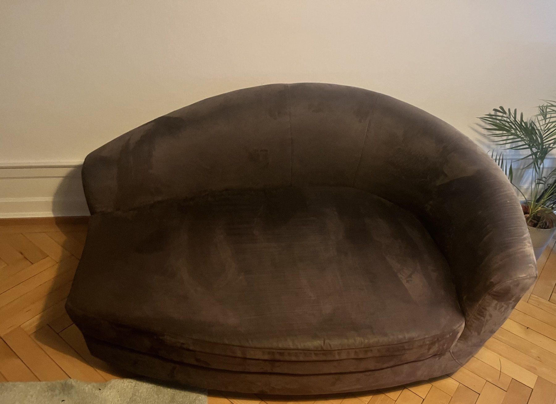 Divani: Rundes Lounge-Sofa / Grau, Microfaser – gebraucht – Usato da St. Gallen venduto da Jan0108
