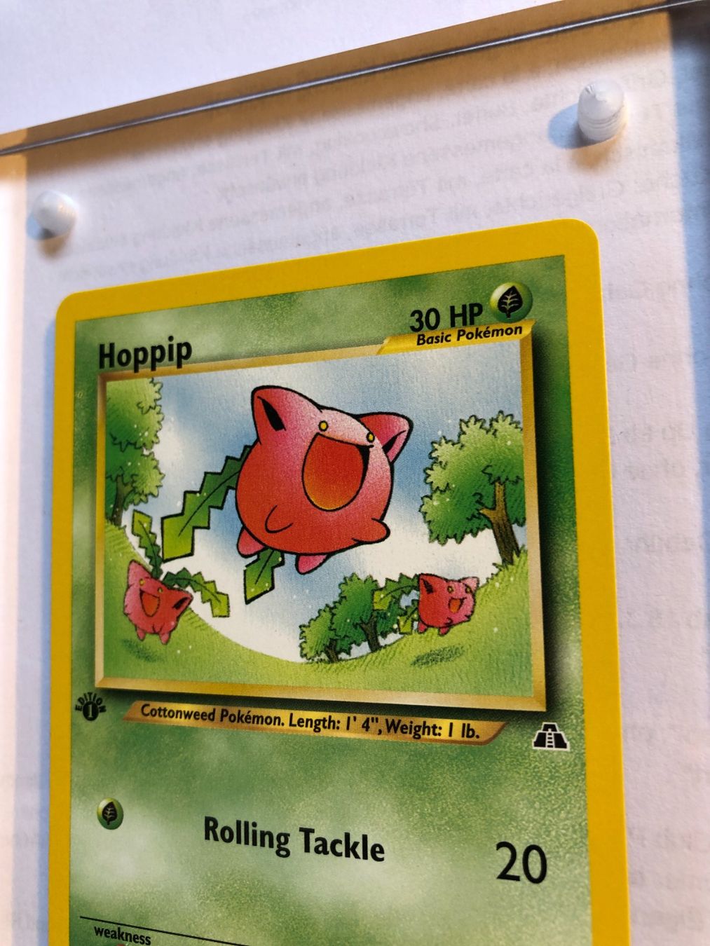 Sammelbilder & Trading cards: Hoppip 1st Neo Discovery - MINT - ab 1.- – Gebraucht aus Giubiasco von dan_pr8b 3