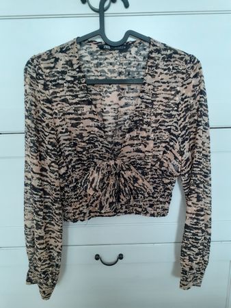 Zara sheer blouse