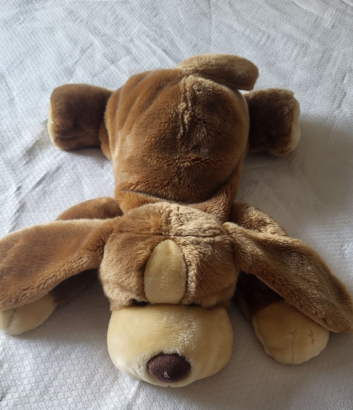 Spielzeuge: Peluche chien marron doux – Neu (gemäss Beschreibung) aus Fribourg von VictoriaShop7