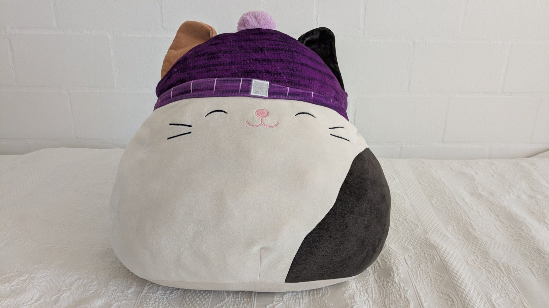 Squishmallows Giocattoli: Sqishmallows Katze 40cm – Usato da Adliswil venduto da bibuubib