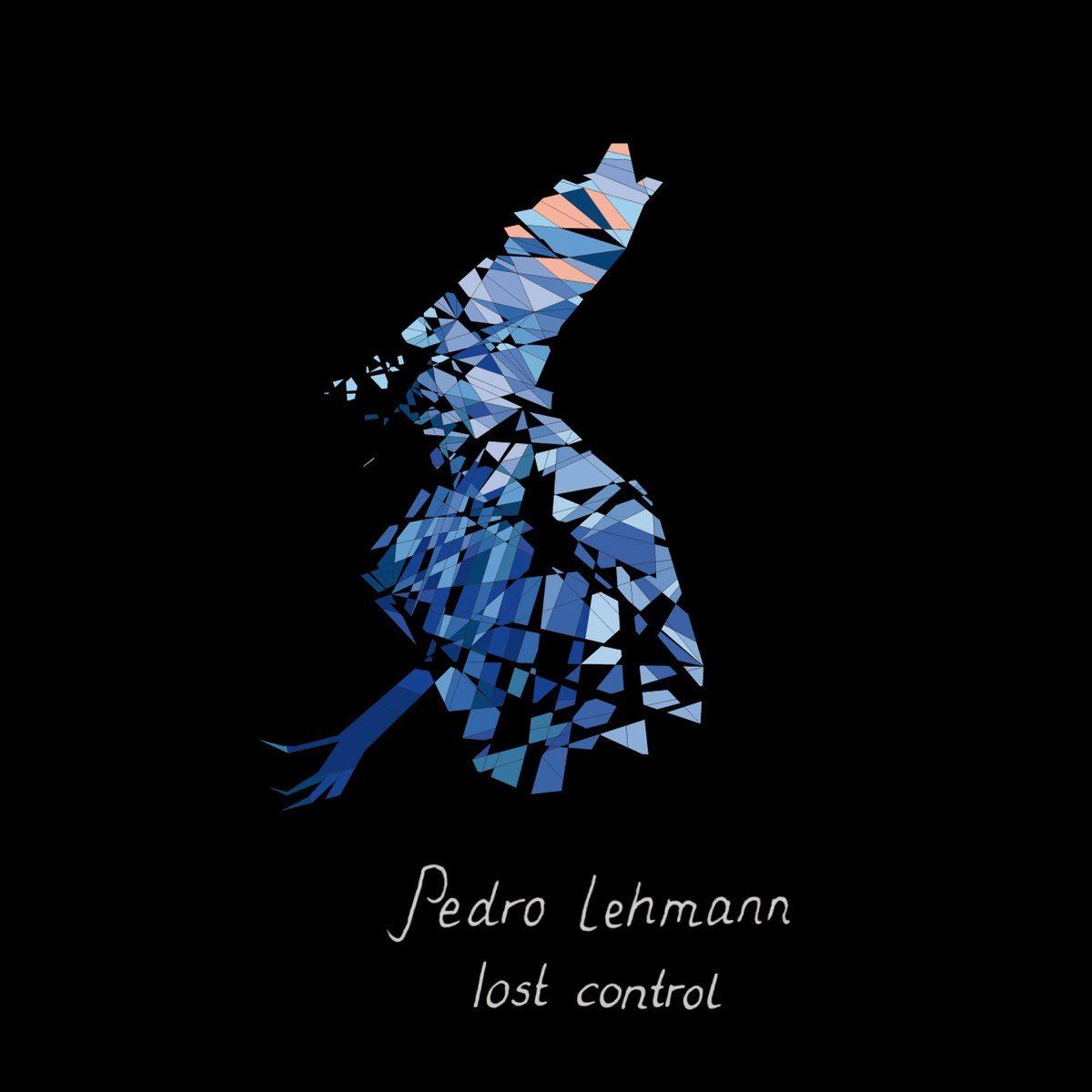 CD: Pedro Lehmann - lost control (Digipack) – Usato da Uzwil venduto da visions77