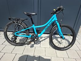 Naloo Chameleon Mk2 20 Zoll