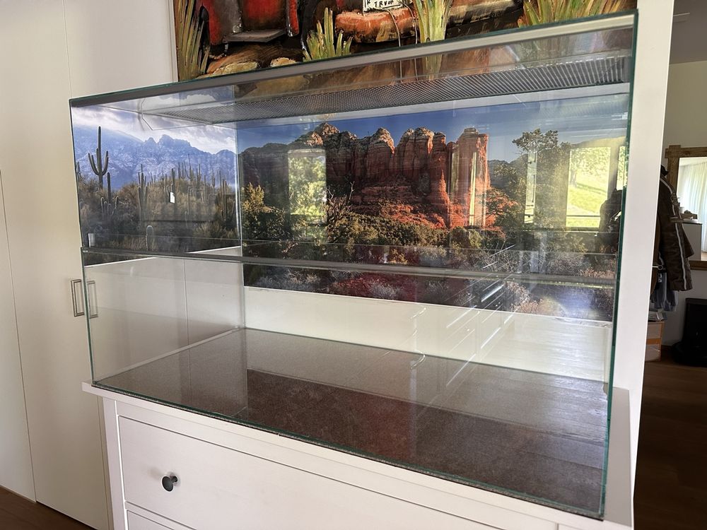 Picture of Hamster Terrarium | Kaufen auf Ricardo