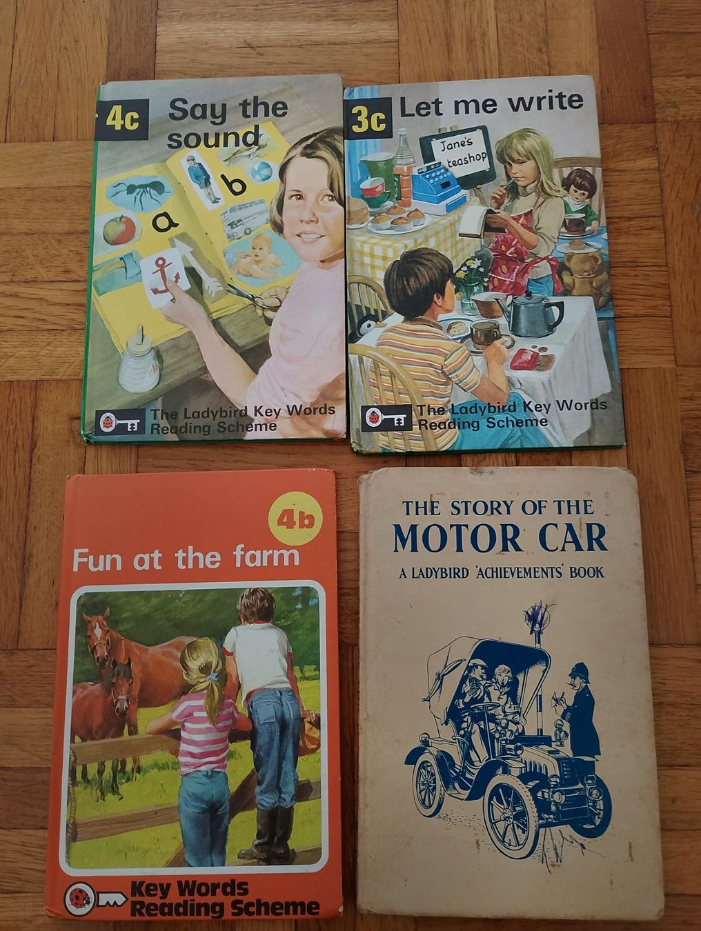Libri: Set libri Ladybird vari, inglese usati, ottimo data l'età – Usato da Chiasso venduto da mmo_vtx9 7