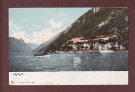 CAPRINO
