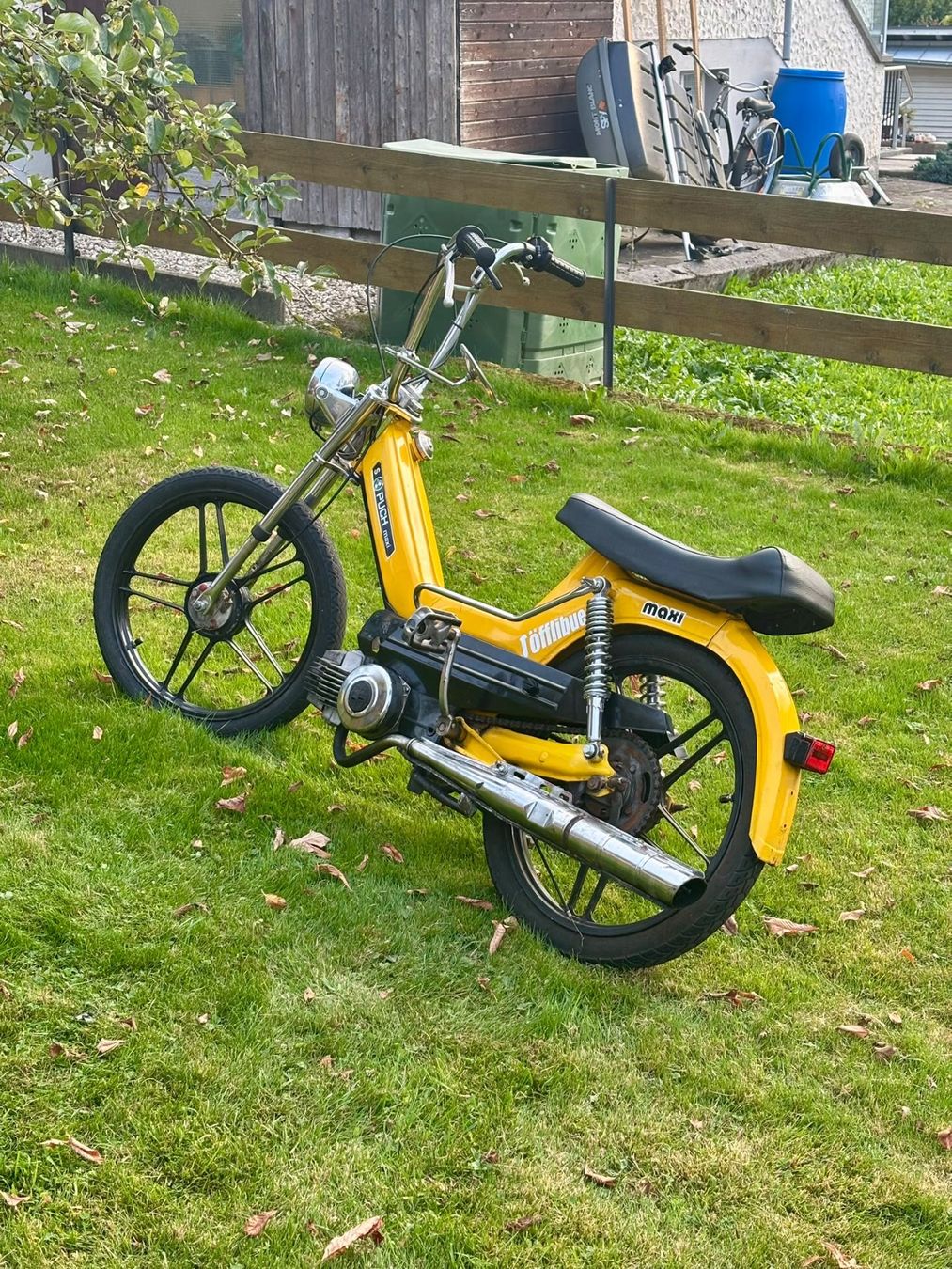 Puch Mofas: Puch Maxi S – Gebraucht aus Schüpfheim von Angelhear4 2