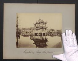 Fotografie Shanghai, Chinesischer Tee Ga