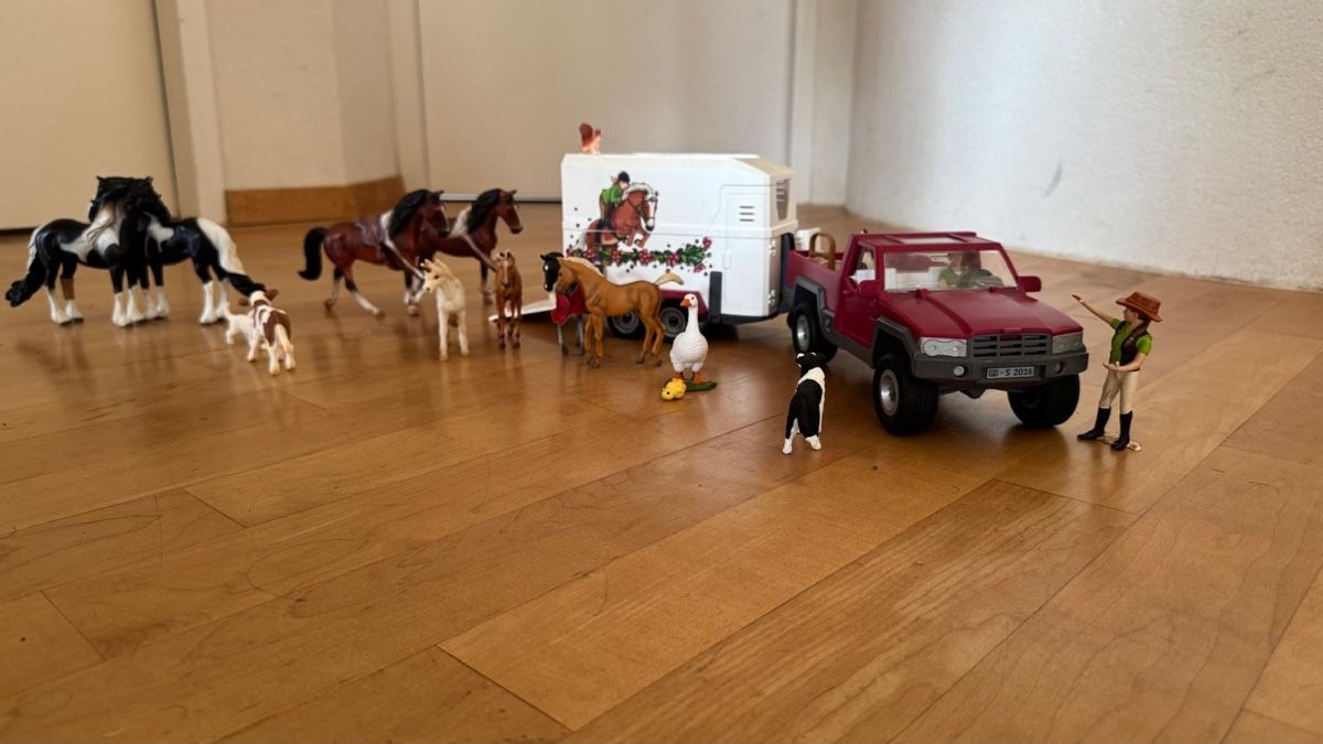 Schleich Giocattoli: Schleichset mit Jeep und Anhänger – Usato da Grüningen venduto da diking06
