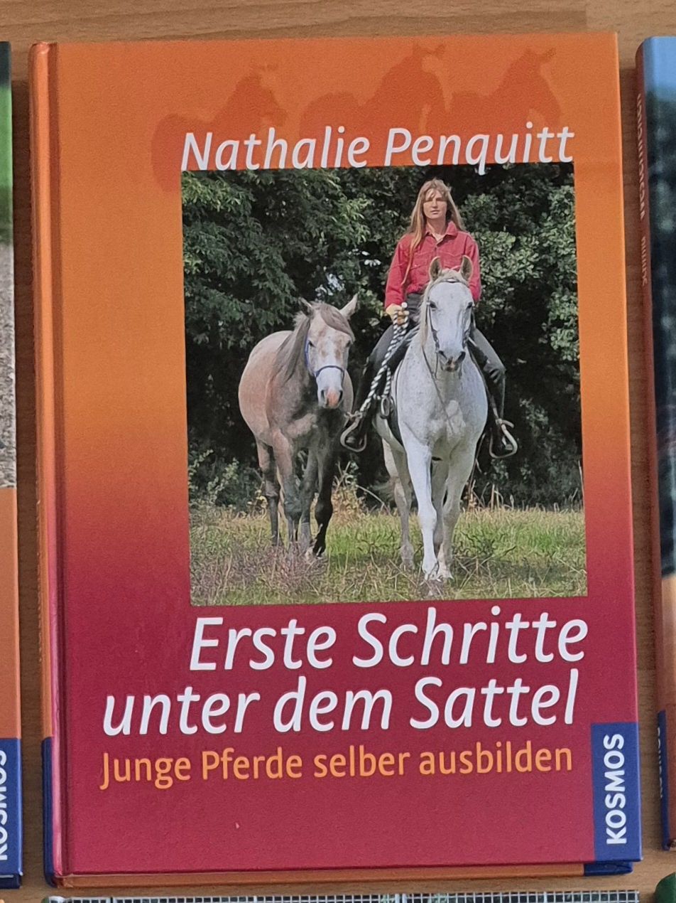 Briglie & Cavezze: Kosmos Pferdefachbuch "Erste Schritte unter dem Sattel" – Usato da Meggen venduto da Orrinka20