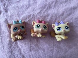 x3 Littlest Pet Shop (1335 + 1336 + 1337) Kittens