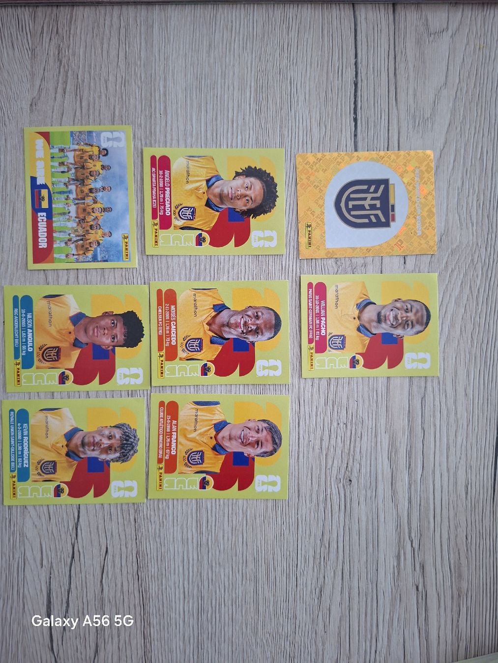Panini Carte collezionabili: panini ecu – Nuovo e nell'imballaggio originale da Vionnaz venduto da NMNB 1