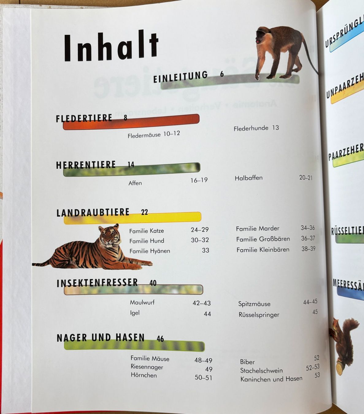 Libri: Die Säugetiere – Nuovo (secondo la descrizione) da Sarnen venduto da Livres 2