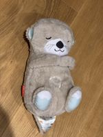 Fisher-Price Schlummer Otter wie Neu