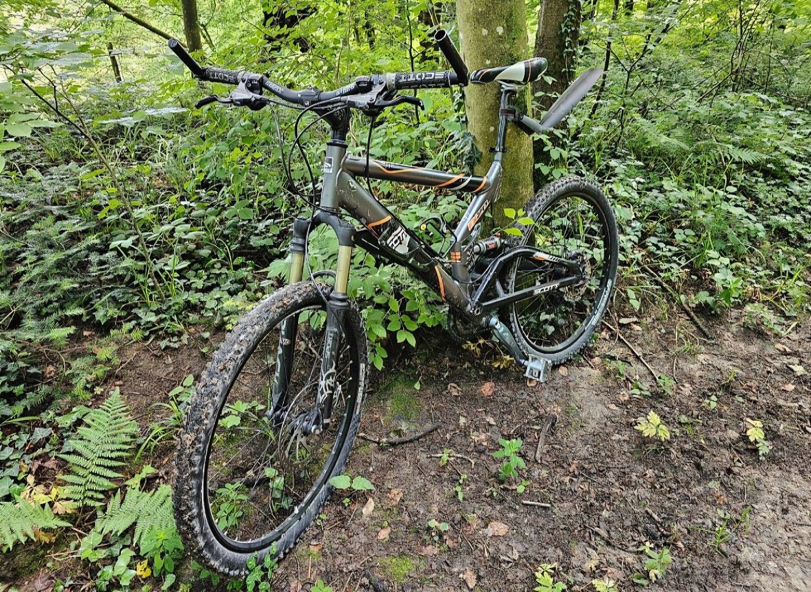 Scott Biciclette: Scott FX20 Mountainbike ab 1.- – Difettoso da Umiken venduto da rolex80 2
