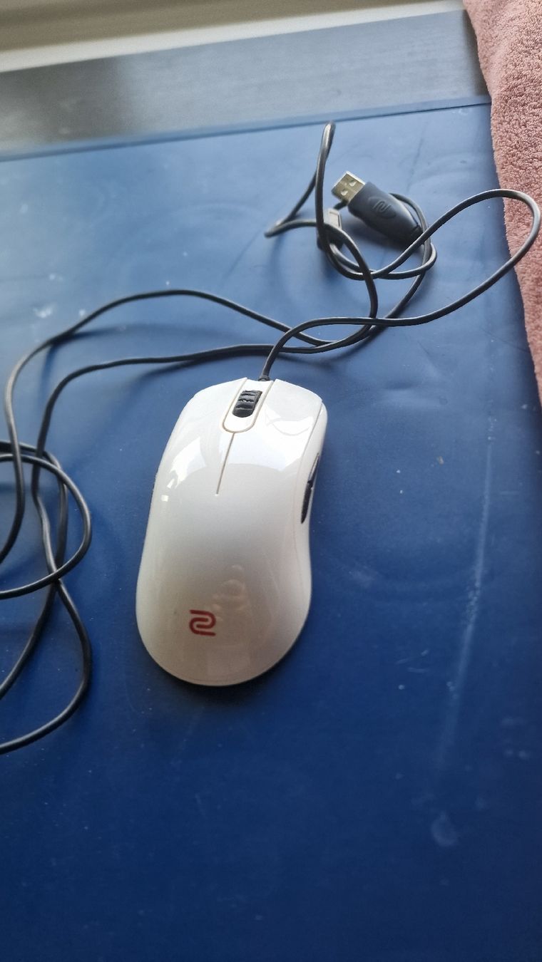 Maus: Zowie FK2 WHITE Mouse – Gebraucht aus Nyon von PMargarido