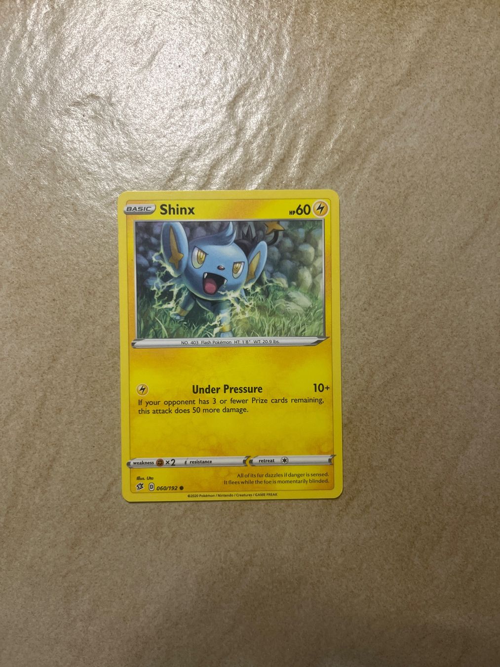 Pokémon Carte collezionabili: Carte Pokemon Shinx - Rebel Clash - EN – Usato da Vernayaz venduto da Darkfrost